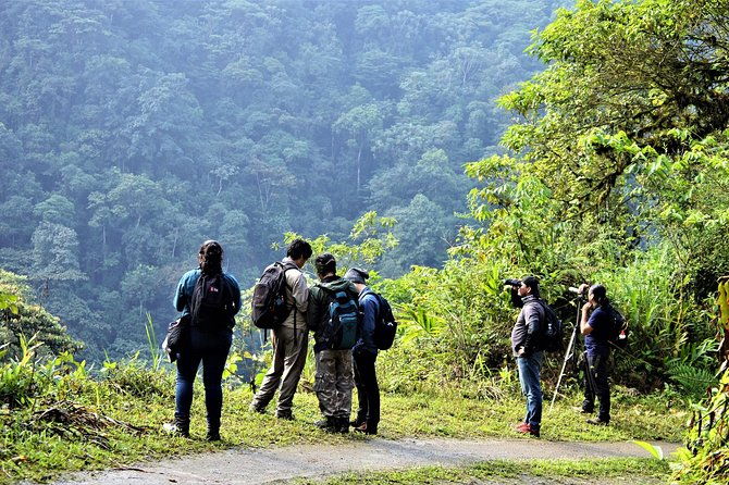 tours-biological-reserve-buenaventura-jocotoco
