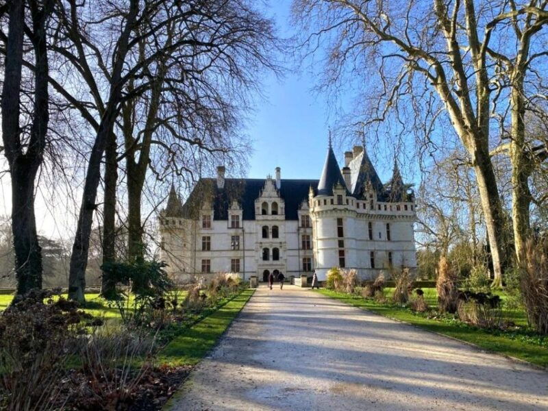 tours-chateaux-azay-le-rideau-and-villandry-morning-tour