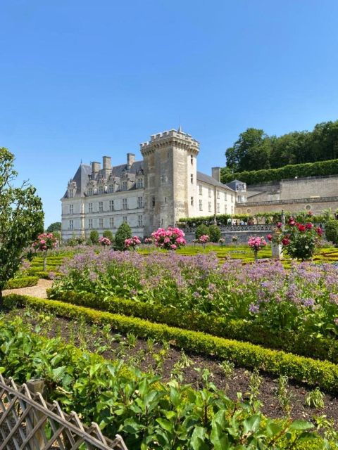 tours-chateaux-azay-le-rideau-and-villandry-morning-tour