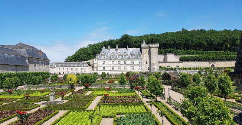 tours-chateaux-azay-le-rideau-and-villandry-morning-tour