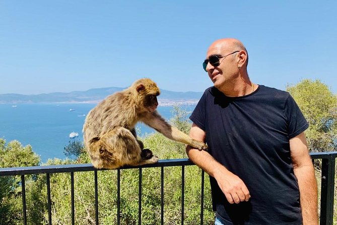 tours-of-gibraltar-standard-tour