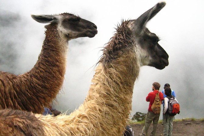 tours-sacred-valley-and-machu-picchu-two-days