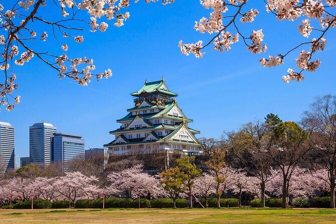 Tours_Namba_One Way Osaka Int Airport Itm To From Osaka_D51459 131112P335 Review - Why Choose This Transfer?