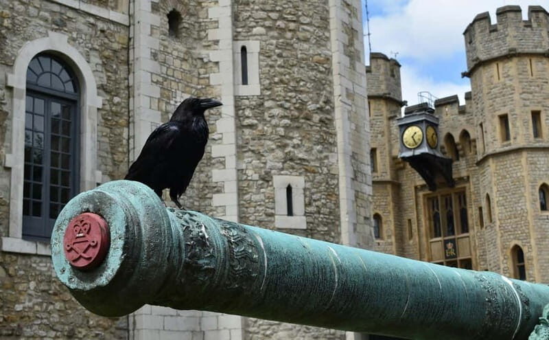 Tower of London & The Great Fire Monument Pass - Discovering the Tower of London: A Closer Look