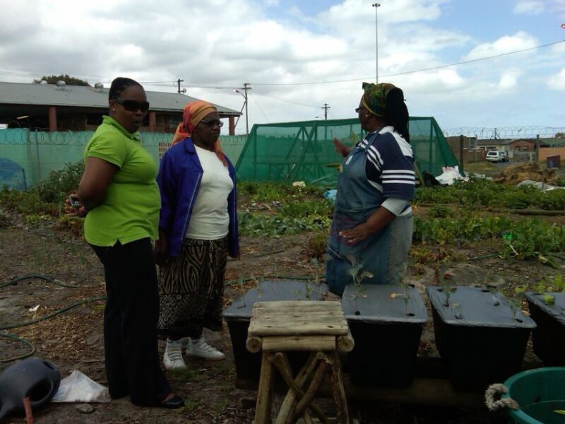 Township Eco Tour - Introduction: An Authentic Look into Township Life