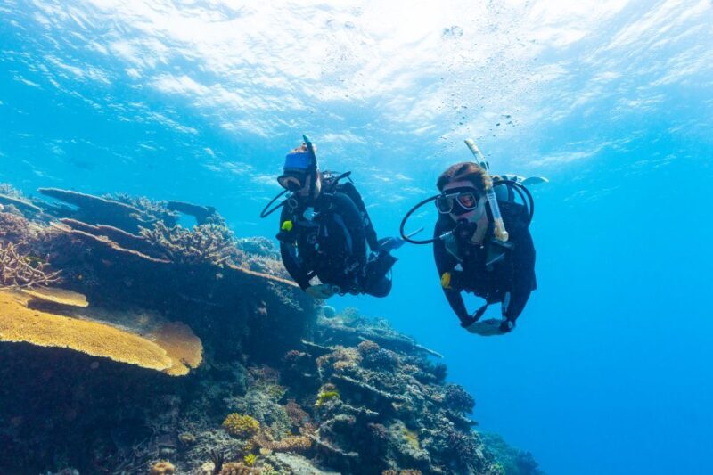 Townsville & Magnetic Island: MOUA & Great Barrier Reef Trip - An In-Depth Review of the Townsville & Magnetic Island Reef Tour