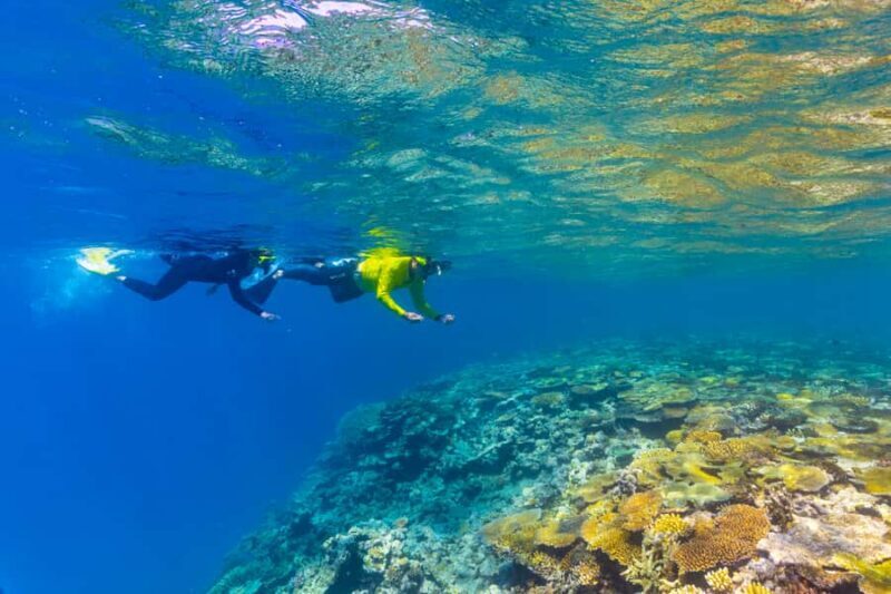 Townsville & Magnetic Island: MOUA & Reef Snorkel Experience - Introduction to the Tour