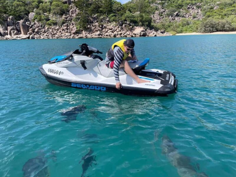 Townsville: Magnetic Island Snorkeling by Jet Ski - Key Points