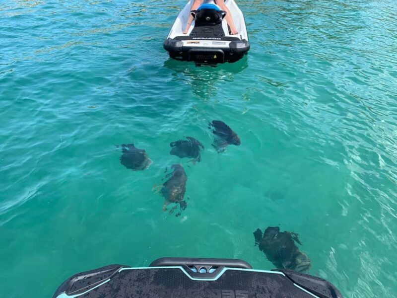 Townsville: Magnetic Island Snorkeling by Jet Ski - What makes this tour stand out?