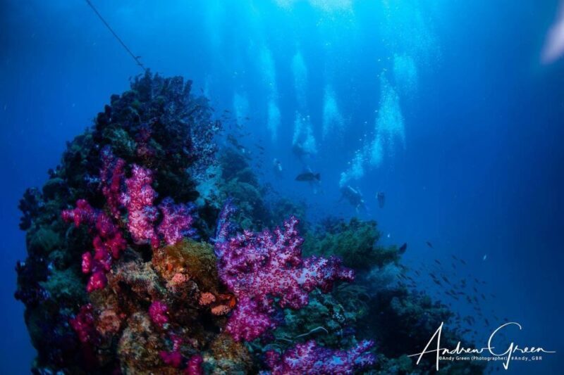 Townsville or Magnetic Island: Yongala Wreck Dive Day Trip - Key Points