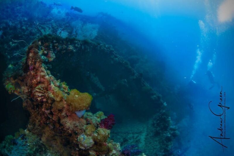 Townsville or Magnetic Island: Yongala Wreck Dive Day Trip - In-Depth Review of the Yongala Wreck Day Trip