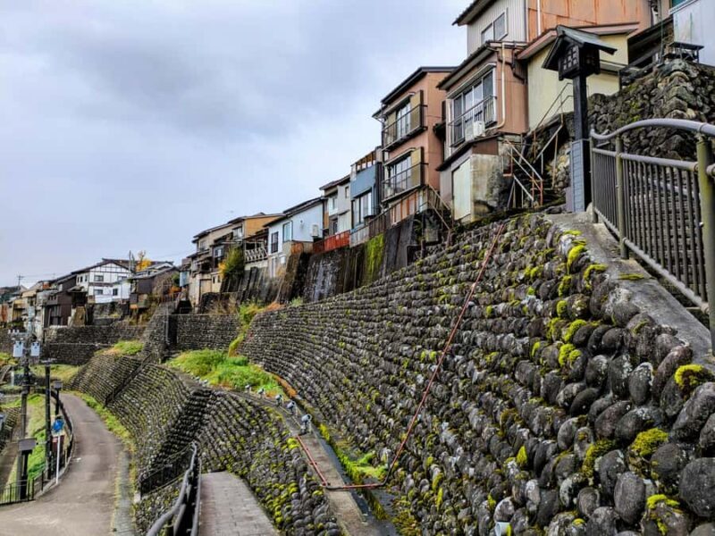 Toyama City: Stunning Streetscapes and Local History Tour - The Sum Up