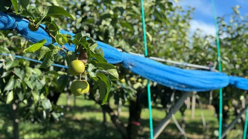 Toyama: E-Bike Tour with Local Guide - FAQ