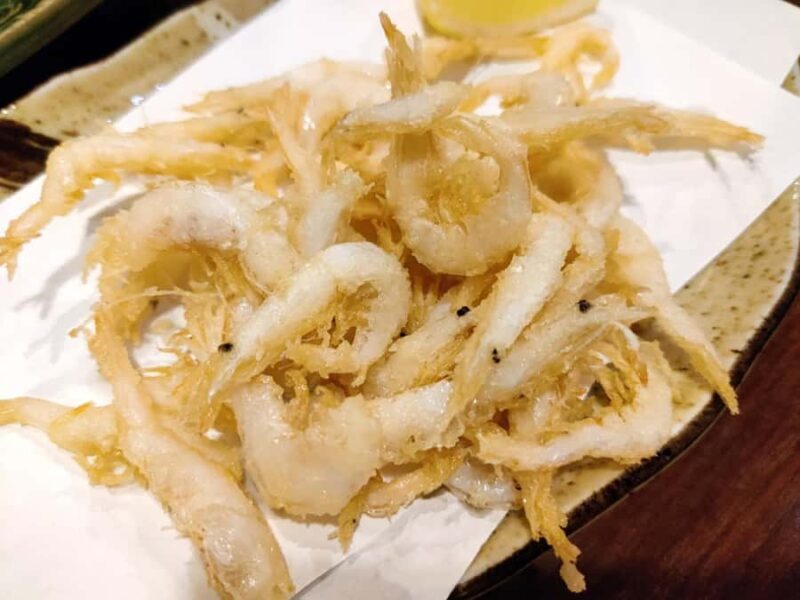 Toyama: Local Bar Hopping Experience with Food & Drinks - Final Thoughts