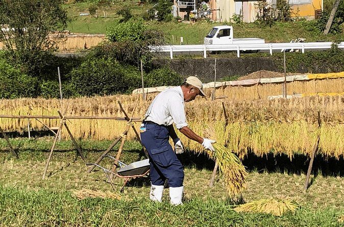 Toyota Green Life Experience Seasonal Farm with Farmers in Inabu - FAQ