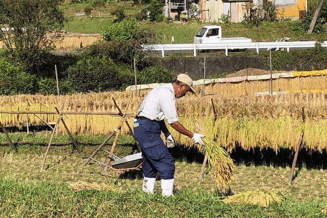 Toyota Green Life Experience Seasonal Farm with Farmers in Inabu - Final Thoughts