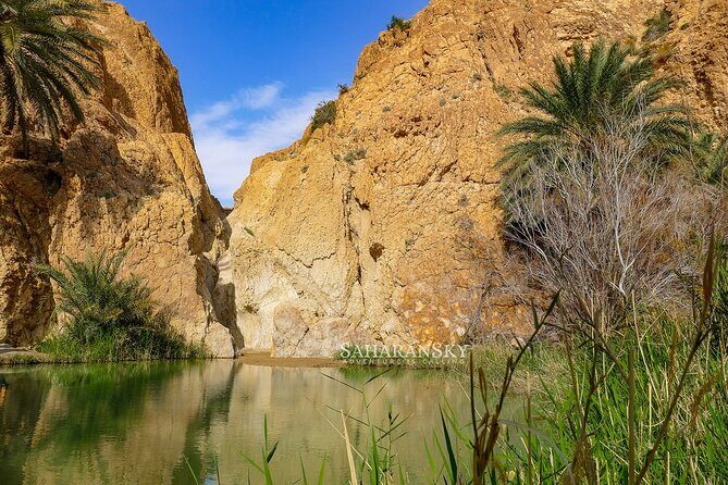 Tozeur Private Half-Day Tour: Tamerza, Chebika and Mides Canyons - Who Is This Tour For?