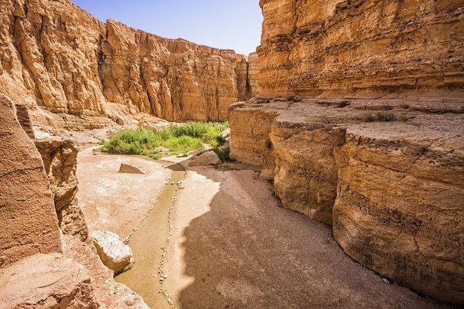 Tozeur: Tamerza, Chebika, Mides and Star Wars locations Day Tour - Authentic Insights from Reviewers