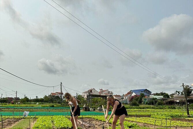 Tra Que Herbs Village & Thanh Ha Pottery Village Tour by Scooter - An In-Depth Look at the Tour Experience