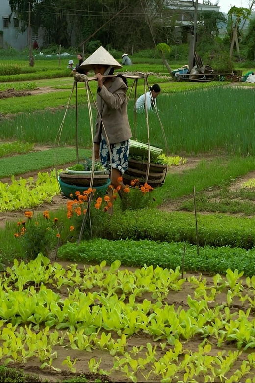 tra-que-village-vegetable-farm-experience-by-bike