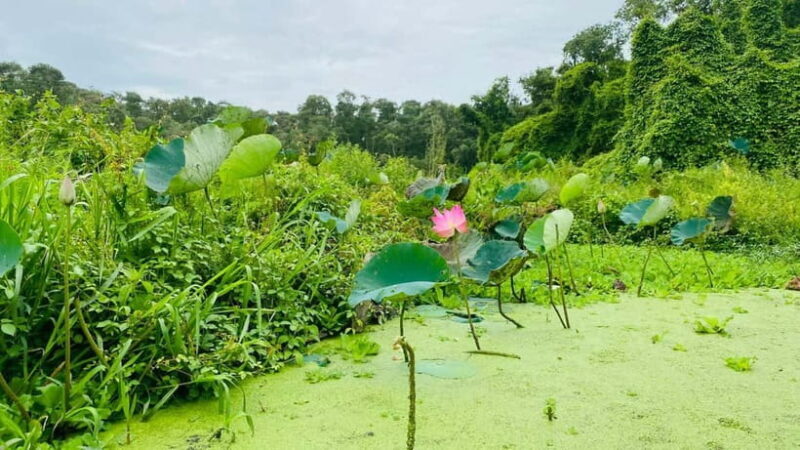 Tra Su Forest Full Day Tour From Can Tho city - Final Thoughts on the Tra Su Forest Full Day Tour