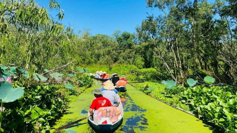 tra-su-forest-full-day-tour-from-can-tho-city