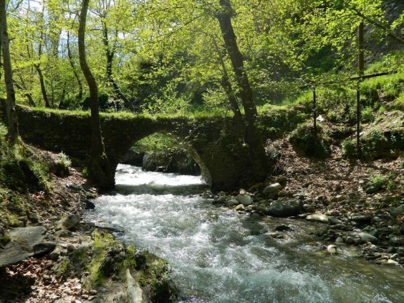 trabzon-sumela-monastery-day-tour-with-lunch