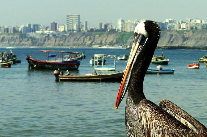traditional-and-indigenous-markets-of-lima