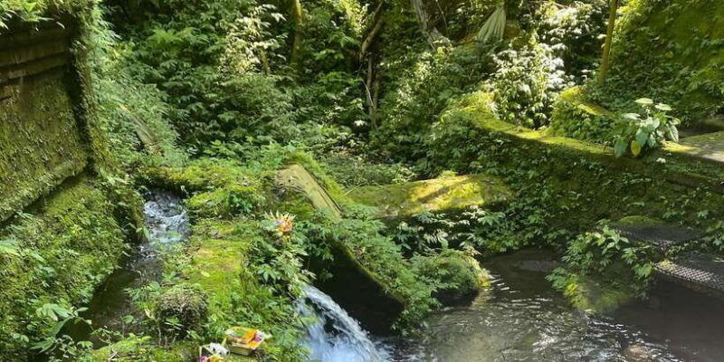 traditional-balinese-healing-and-water-purification