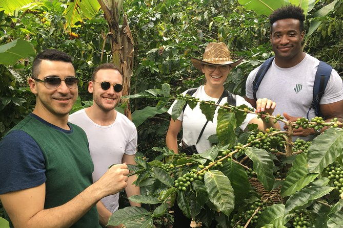 traditional-bogota-coffee-tour