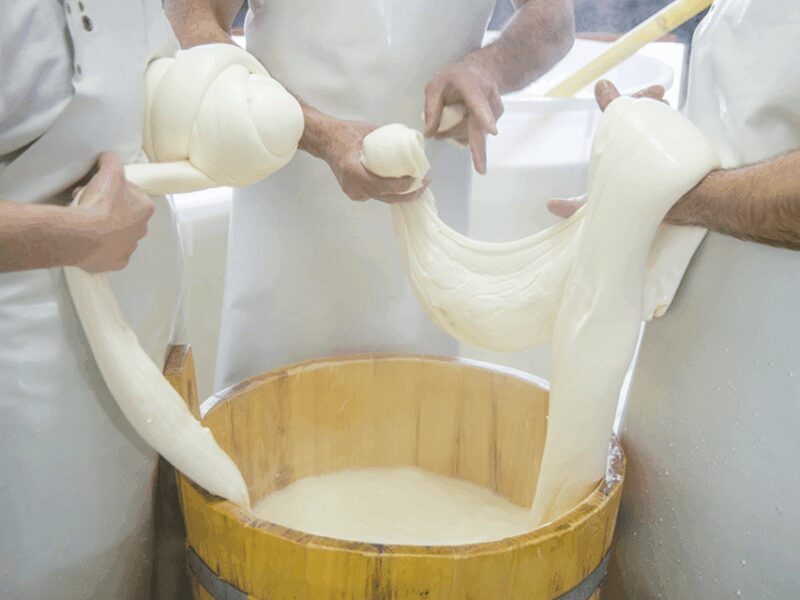 Traditional Cheese Factory Visit with Tasting near Isernia - Why This Tour Works for Different Travelers