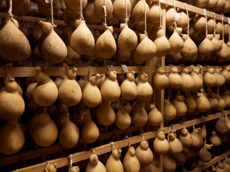 Traditional Cheese Factory Visit with Tasting near Isernia - Final Thoughts: Is It Worth It?