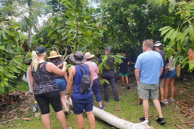 traditional-chocolate-making-in-belize