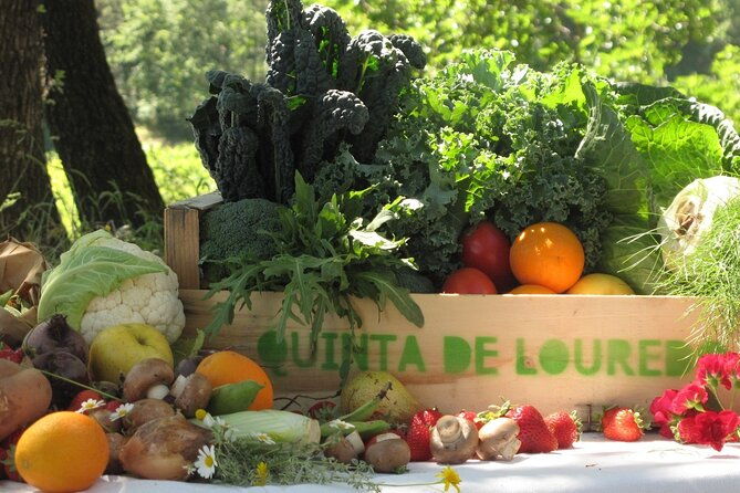traditional-cooking-class-farm-tour-lunch-in-the-douro-valley