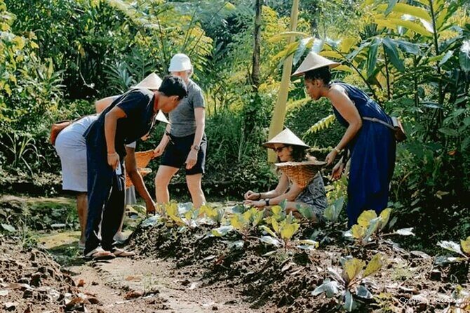 Traditional Cooking Class In Ubud With Local Balinese Family - Practical Tips for Future Travelers
