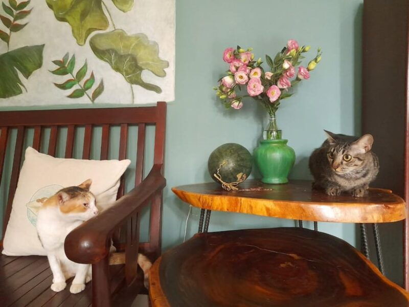 traditional-cooking-class-local-home-green-fishsauce-kitchen