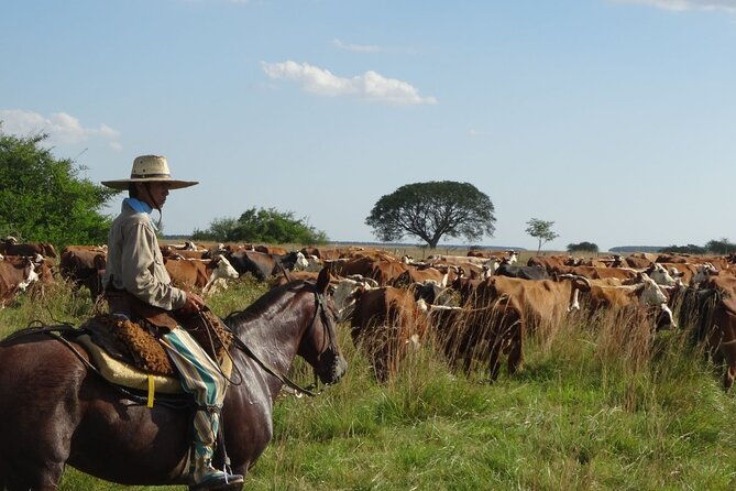 traditional-gaucho-festival-full-day-tour-from-buenos-aires