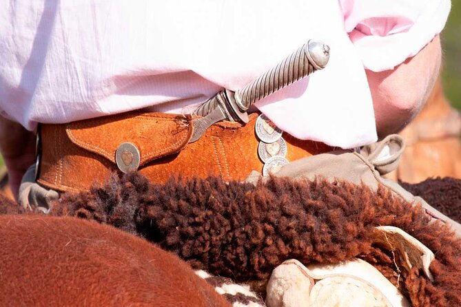 traditional-gaucho-festival-full-day-tour-from-buenos-aires