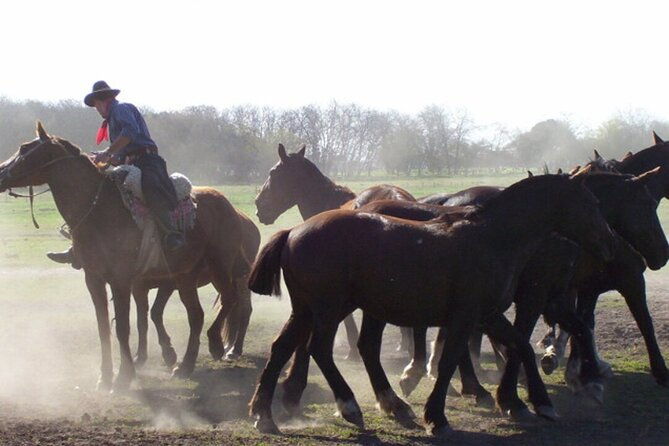 traditional-gaucho-festival-full-day-tour-from-buenos-aires