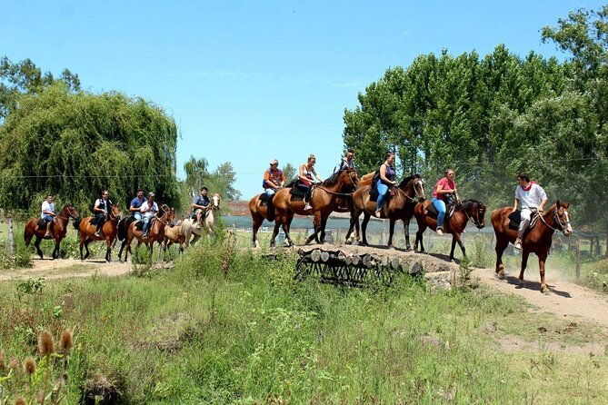 traditional-gaucho-festival-full-day-tour-from-buenos-aires