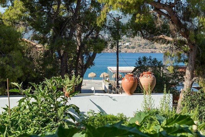 traditional-greek-cooking-class-and-organic-lunch-on-poros-2