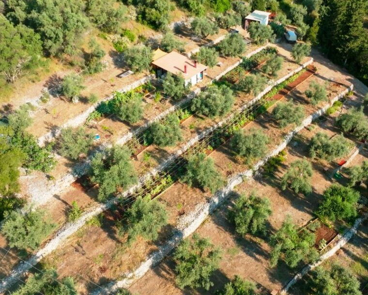 traditional-greek-cooking-class-lefkada-micro-farm-2