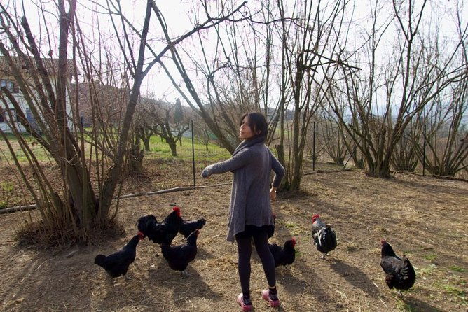 traditional-italian-cooking-class-on-a-sustainable-farm-using-foraged-wild-herbs