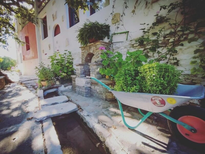 traditional-naxian-food-experience