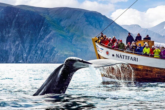 Traditional Oak Ship Whale Watching Tour From Husavik - A Close Look at the Experience