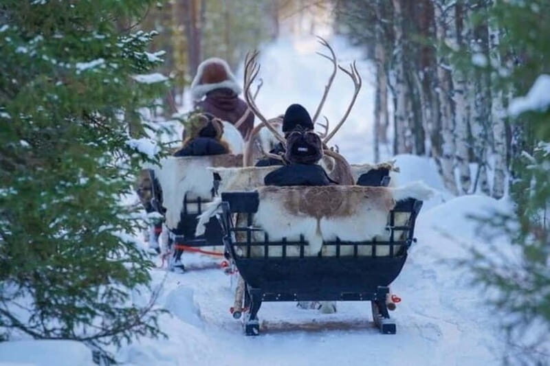 Traditional Reindeer Farm Visit with a Short Sleigh Ride - A Genuine Look at Reindeer Culture