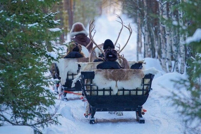 traditional-reindeer-farm-visit-with-a-short-sleigh-ride