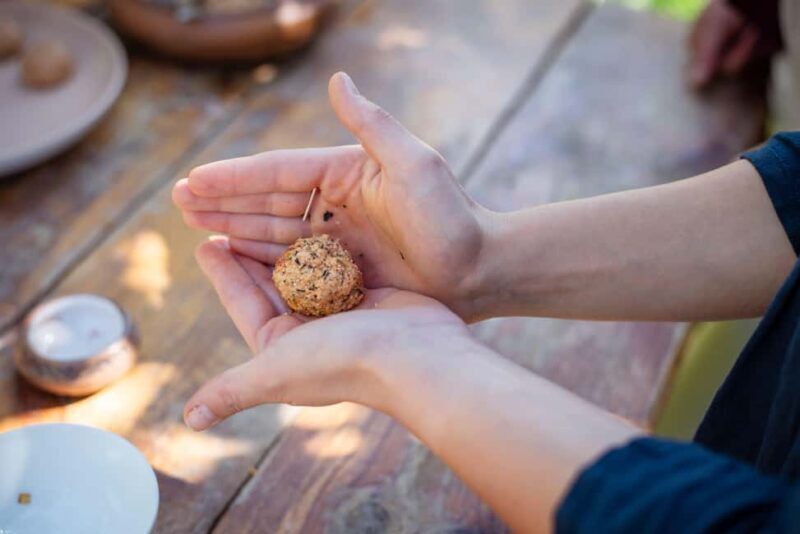 Traditional Vegetarian Food & Village Dance Masterclass - A Close Look at the Experience