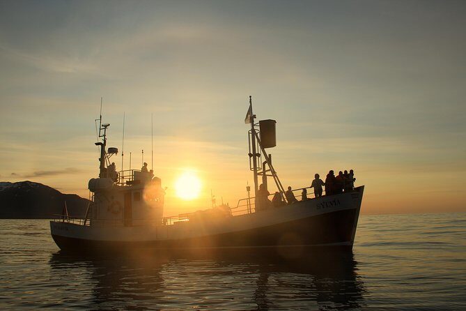 Traditional Whale Watching from Húsavík by Local Family Company - FAQs