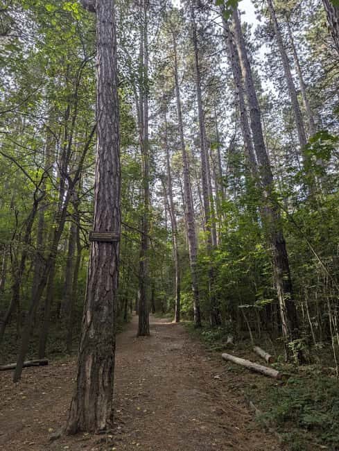 Trail Running Adventure - An Overview of the Trail Running Adventure